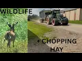 Download Lagu Chopping Hay and Catching Nature in Action!