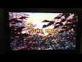 Download Lagu Closing To Robin Hood 1993 Reprint Spain VHS