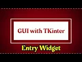 GUI with TKinter Entry Widget Password Generation