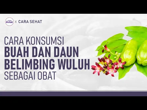 Cara Konsumsi Daun dan Buah Belimbing Wuluh untuk Hipertensi