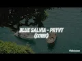 Download Lagu Blue Salvia - PRYVT (cover)