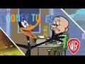 New Looney Tunes | Spring Break trouble