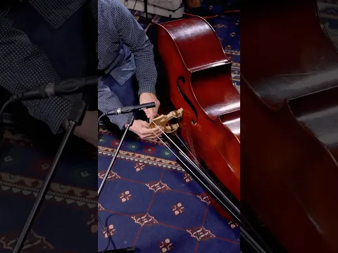 This Instrument is HUGE