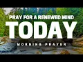 Start Your Day With This Prayer To Focus Your Mind On Christ Blessed Morning Prayer