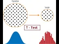 t test using python t test in statistics Hypothesis testing and T tests