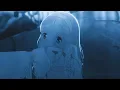antent & nectry - take me home