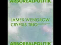 Arborealpolitik - James Wengrow