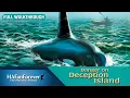 Nancy Drew Danger on Deception Island - Full Walkthrough Commentary