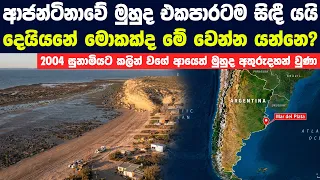 ආජන්ටිනාවේ මුහුද එකපාරටම සිඳී යද්දී මතුවන බිහිසුණු ඇත්ත
