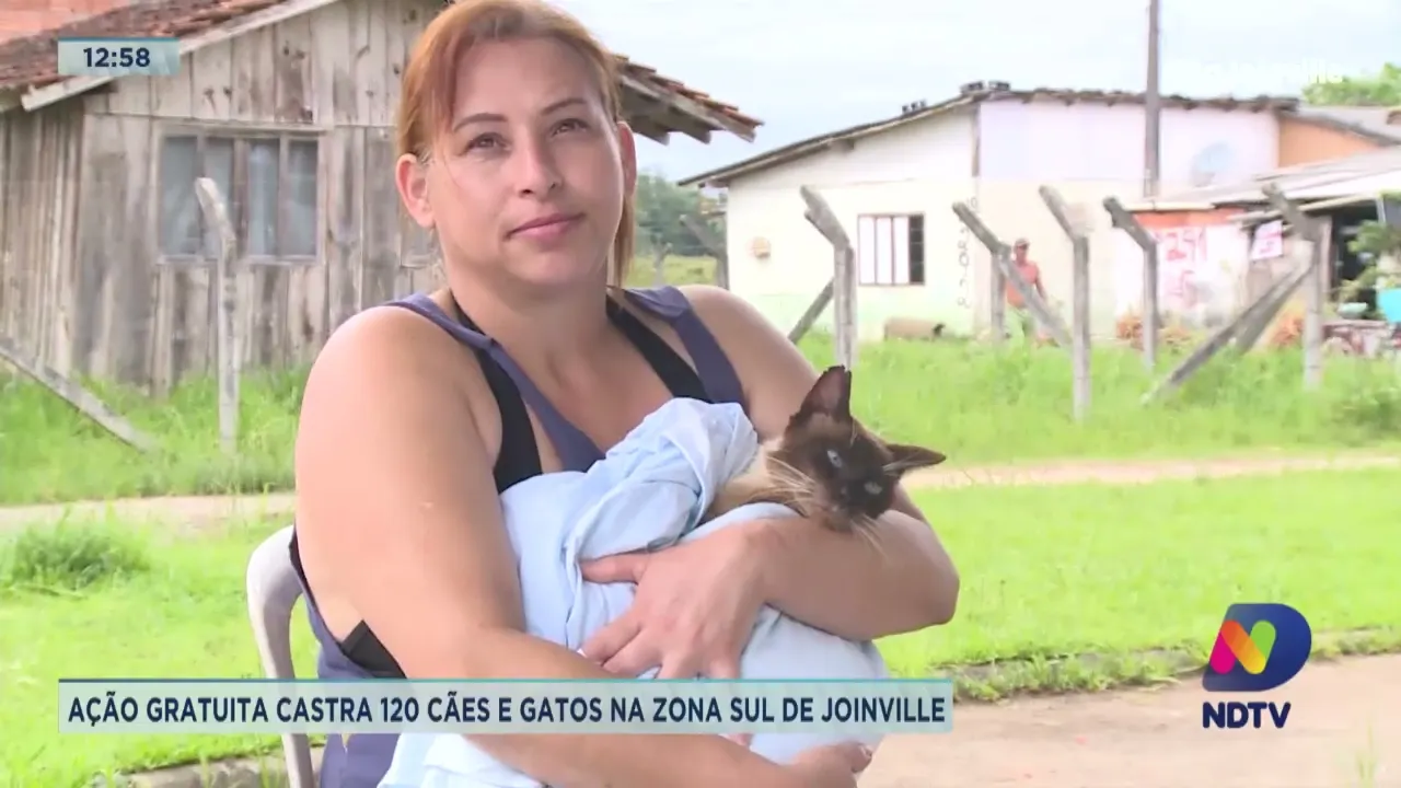 Ação gratuita castra 120 cães e gatos na zona Sul de Joinville