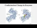 SP26 BIOL Review Session - BIOL105 Exam 2