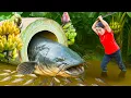 Download Lagu Harvesting huge bananas garden and giant dried catfish, bring them to the market to sell
