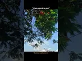 Download Lagu yebhi copyright kr dio yt👍🏻,,, #status #oldsong #sad #story #shortvideo #quotes #reletable #edit