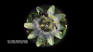 andy compton feat anders olinder dj tune dedication 