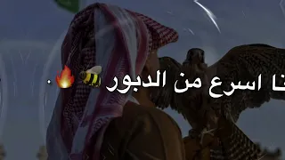 محمد البصيلي مفيش عصفور بيعادي نسور انا اسرع من الدبور جديد 2025 Mohamed Elbosely Official 