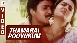 pasumpon thamarai poovukum official video song vidyasagar