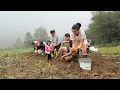 Download Lagu Van veld tot vuur 🔥🥔 Gezinsleven in de Karpaten, aardappeloogst en barbecuefeest 🍖🏡