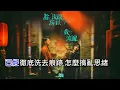 Dear Jane - 你流淚所以我流淚 DIY 字幕 伴奏