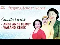 Download Lagu Suwito Laras - Ande Ande Lumut | Walang Kekek (Official Music Video)
