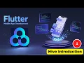 Flutter Hive