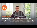 Download Lagu Hoe een virus werkt en waarom juist corona zich zo snel verspreidt