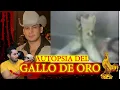 Analyzing Valentin Elizalde s AUTHORIZATION