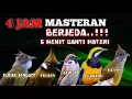 Download Lagu 4 jam masteran TROTOLAN berjedah 5 menit ganti materi burung tidak stress dan materi cepat masuk