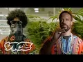 Dimebags vs Dispensaries Street Dealers to Multi-Million Dollar Weed Startups