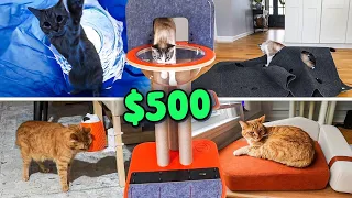 Spoiling my cats but the budget keeps getting smaller