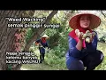 Lagu Bersih bersih semak di pinggir sungai,  kacang walnut pun sudah banyak bejatuhan siap di pungutin