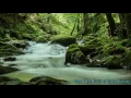 Instrumental Hymn - Come, Thou Fount of Every Blessing (Celtic style)