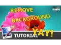 How to Remove a Background in Paint NET