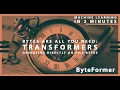 ML in 2 Paper Bytes Are All You Need Transformers Operating Directly On File Bytes