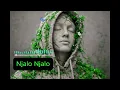 Credo V Daniels - Njalo Njalo (INSTRUMENTAL)