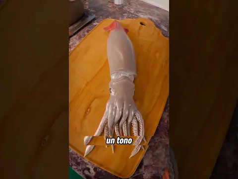 ¡Así Preparan Un Calamar A Golpes Para Hacer Calamares Fritos! 🤤🦑