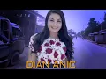 Download Lagu Dian Anic full album 2022