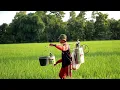 Download Lagu Alunan Merdu Taluan Tarling Klasik Dermayon