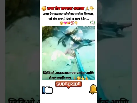 असा जोडीदार सर्वांना मिळावा 🥰💯🙏👆 #humanity #love #couple #respect #motivation #shorts #viral #great