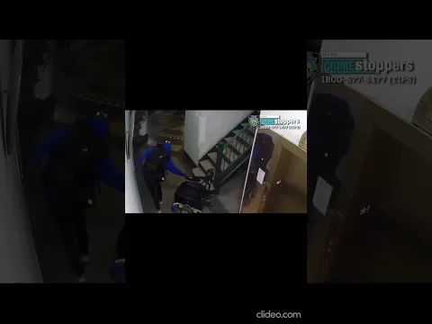 $5,000 Wheelchair Stolen From Bronx Building Lobby #breakingnews #bronx #nyc