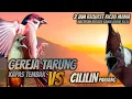 Download Lagu KOMPLIT FULL HOREG!!! GEREJA TARUNG KAPAS TEMBAK VS CILILIN PANJANG || MASTERAN MURAI BATU CENDET CI
