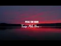 Pehle Bhi Main (Remix) | Exzost | ANIMAL | Vishal Mishra | Ranbir | Tripti | Bollywood Remix 2023