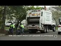 PSA Tree Yard Waste Pickup