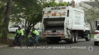 PSA Tree Yard Waste Pickup