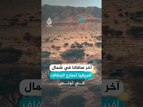 آخر سافانا في شمال أفريقيا قطعة من عالم قديم في تونس