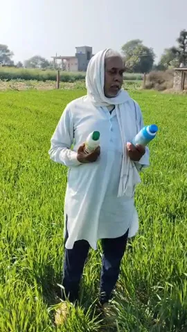 राजस्थान के किसान दीपराम मीणा ने गेहूं के लिए कौन सी खाद बताई जरूरी | वनइंडिया हिंदी
