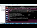 Socket programming Python3 over mininet SDN RYU controller