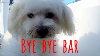 Bye Bye Bar [Ep 19] Sailing Salacia Star