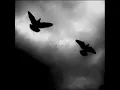 dustbowlchampion - you (slowed + reverb)