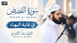 في غاية البهاء سورة القصص كاملة  للقارئ رعد الكردي