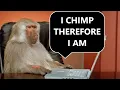 Can Monkeys Really Type Shakespeare The Infinite Monkey Theorem